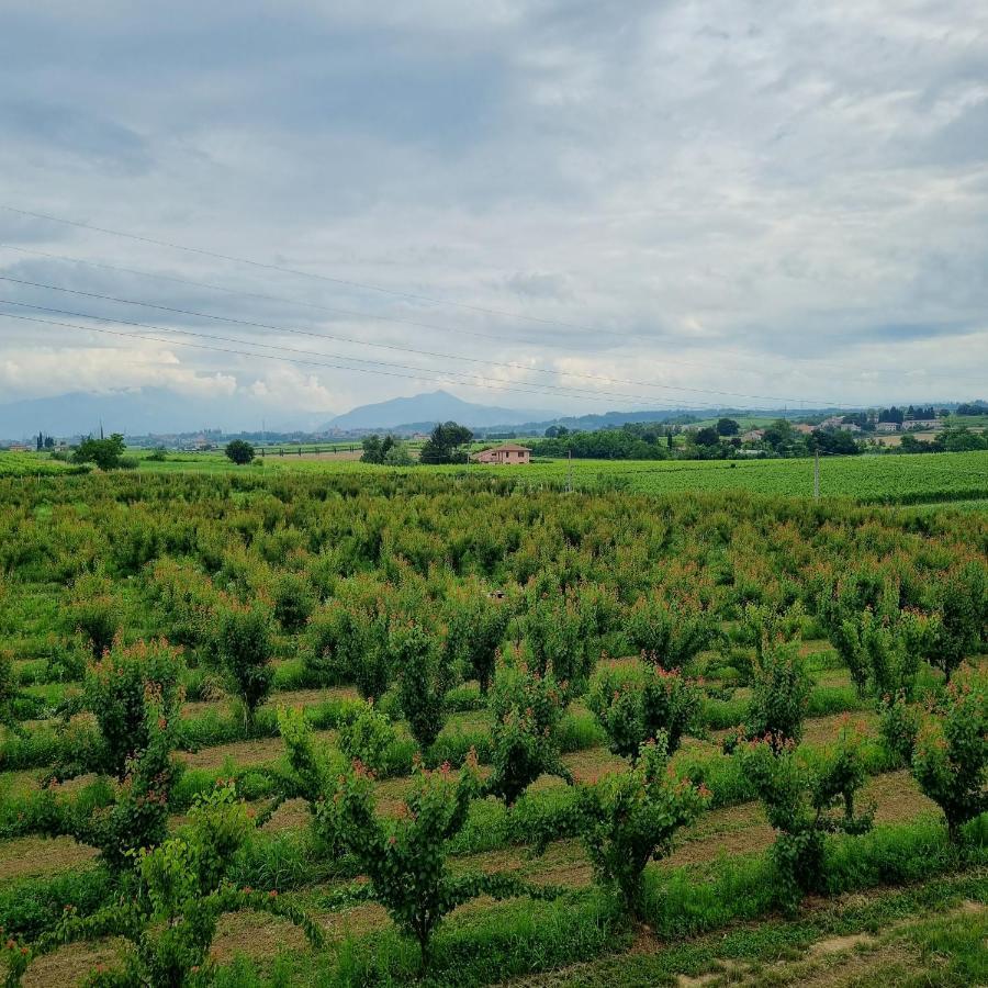 Corte Bottura Agriturismo Кастельнуово-дель-Гарда Екстер'єр фото